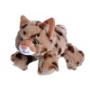 Wild Republic Hug’EMS Pygargue À Tête Blanche, Animal en Peluche, 17 cm, Grand Cadeau, Jouet Éducatif, Peluche Écologique, Re