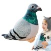 Campsie Peluche Pigeon | Jouet De Pigeon en Peluche | Jouets en Peluche Simulés Drôles | Figurine De Plumes Artificielles | D