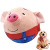 Jouet pour Chien - Balle en Peluche Active | Jouet Chien Lapin Hamster Cochon Peluche Lavable | Jouets Animaux Interactifs Él