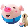 Jouet pour Chien - Balle en Peluche Active | Jouet Chien Lapin Hamster Cochon Peluche Lavable | Jouets Animaux Interactifs Él