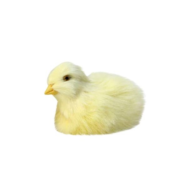 Peluche Poussin Petit, 1PCS Poussin Réaliste en Peluche Poussin Figure Réaliste Fourrure Animal Jouet Poussin De Pâques en Pe