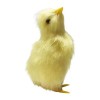 Peluche Poussin Petit, 1PCS Poussin Réaliste en Peluche Poussin Figure Réaliste Fourrure Animal Jouet Poussin De Pâques en Pe