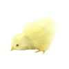 Peluche Poussin Petit, 1PCS Poussin Réaliste en Peluche Poussin Figure Réaliste Fourrure Animal Jouet Poussin De Pâques en Pe