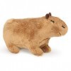 Dreafly Jouet en Peluche Capybara de Simulation, Poupées de Cochon dInde Capybara Animal Mignon, Peluches Réalistes en Capyb