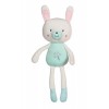 Gipsy Peluche Doudou bébé - Pantin Les Ptits féeriques 24 cm - Lapin Vert deau - Dès la Naissance - Idée Cadeau Toys