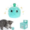 PUPPBUDD Balle Jouet Chat en Forme DOiseau avec Herbe à Chat, Interactif Réaliste Jouet De pour Chats avec Chants doiseaux,