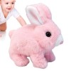 Voihamy Jouet de Lapin Qui Marche - Jouet électronique interactif de Lapin en Peluche pour Animaux de Compagnie | Lapin en Pe