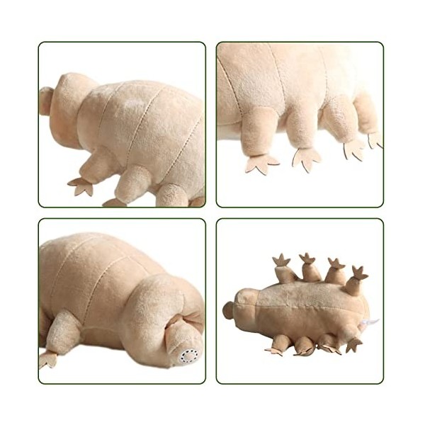 TardigraPeluche Kawaii, 25cm TardigraPeluche, Doudou Tardigra, Oreiller en Peluche Tardigra, Doux TardigraPlushies Dos en Pel