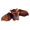 Schaffer Knuddel mich! 5300 Chauve-Souris en Peluche Dragomir Taille XS 11 cm/11 x 7 x 6 cm Marron