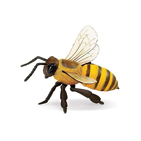 Safari Ltd- Honeybee Animal Honey Bee, 268229, Multicolore, Petit