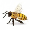 Safari Ltd- Honeybee Animal Honey Bee, 268229, Multicolore, Petit