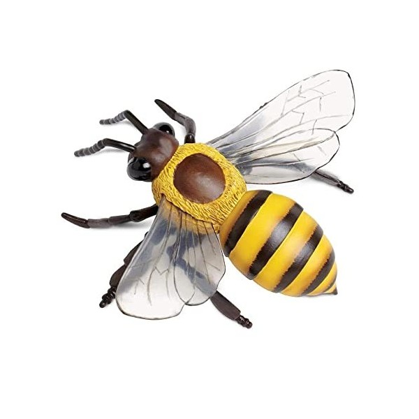 Safari Ltd- Honeybee Animal Honey Bee, 268229, Multicolore, Petit