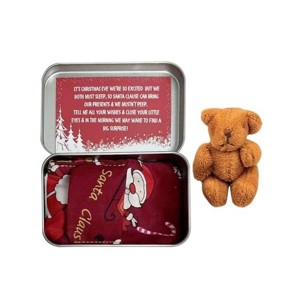 Teddys de Noël dans une boîte de poche | Boîte à jouets personnalisée Little Pocket Bear | Poupée anti-inquiétudes pour anti-