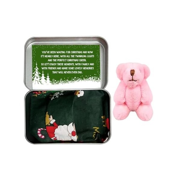 Teddys de Noël dans une boîte de poche | Boîte à jouets personnalisée Little Pocket Bear | Poupée anti-inquiétudes pour anti-