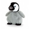 Keel Toys - Keeleco Baby Plush Penguin 18 cm-SE6569, SE6569, Grey, White, Black