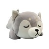 JAWSEU Peluche Husky Animaux en Peluche Doux Oreiller de Couchage Peluche Chien Mignon Shiba Inu Étreindre Oreiller Peluche A