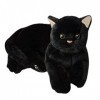 Zceplem Jouet en Peluche Chat Noir - Chatons en Peluche 12 Pouces pour bébés Filles garçons | Jouet en Peluche Chaton Mignon,