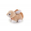 Trudi 52440 Petit Environ 10 cm - Taille XXS - en Peluche avec des matériaux Doux et des détails soignés - Lavable - Doudou p