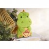 Posh Paws 37641 Swizzels Love Hearts Peluche Danny Le Dinosaure Youre Roarsome Vert 20 cm