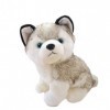 LAARNT 22cm Jouet en Peluche de Petit Chien Gris pour Enfants，Poupée en Peluche en Chien Husky réaliste，Doudou en Chien Husky