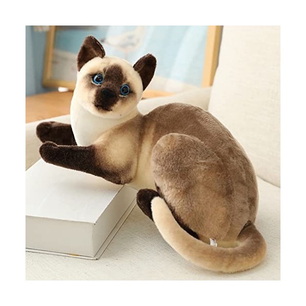 Vrai Chat en Peluche, 30cm Chat en Peluche couché en Peluche Chat Poupée en Peluche Chat réaliste Peluche Chat Chaton en Pelu