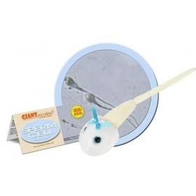 Giantmicrobes Porte-clés en forme de microbe géant en peluche Arthrite