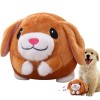 Eteslot Jouet pour Chien - Balle en Peluche Active - Jouet interactif pour Chien - Balle en Peluche pour Chat et Chien - Joue