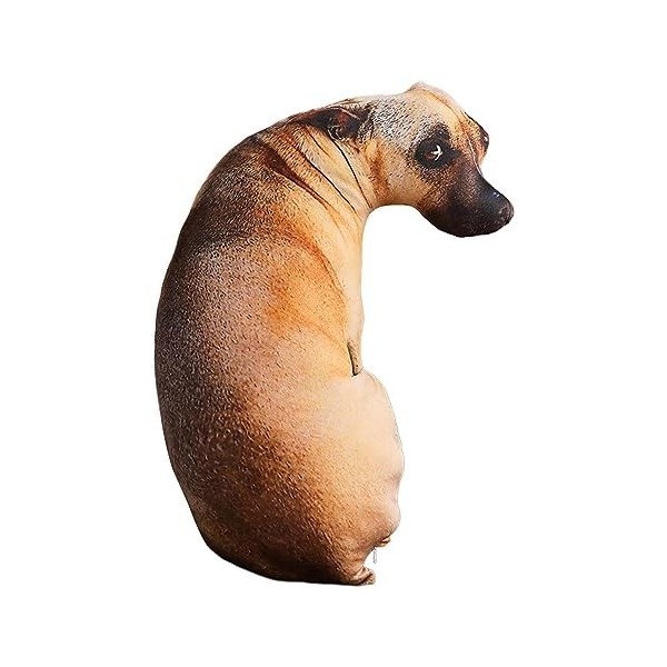 Ziurmut Chien en Peluche - Oreillers câlins Chien en Peluche 3D - Oreiller en Chien Doux et réaliste pour, Amie au Coucher de