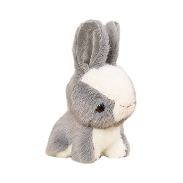 VICASKY Lapin Pendentif Animal En Peluche Jouet Poupée Lapin De Pâques Animal En Peluche Clé Floue Charme Animaux Porte-Clés
