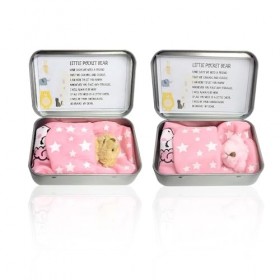 Lot de 2 mini ours endormis dans une boîte en fer, mini ours dans les bras de poche, mini ours en peluche, cadeaux dannivers