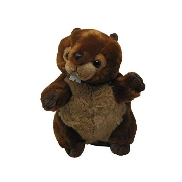 IMPEXIT Peluche Castor 21/16/14cm