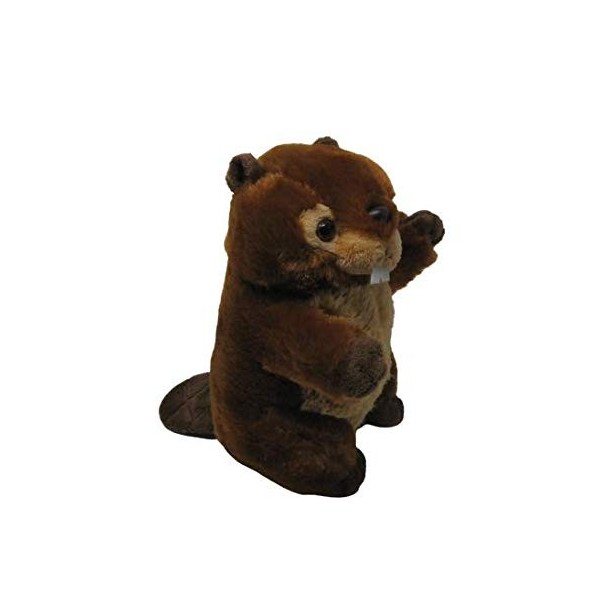 QKNTKF FNAF Poupée en peluche de collection Bonnie Foxy Chica Golden Bear –  Cadeau pour les fans de FNAF 20 cm, Freddy Fazbe