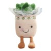 KieTeiiK Jouets en Peluche Plantes Succulentes Coussin Câlin Doux Et Moelleux Décoration Détagère Mignonne Cadeaux Noël pour