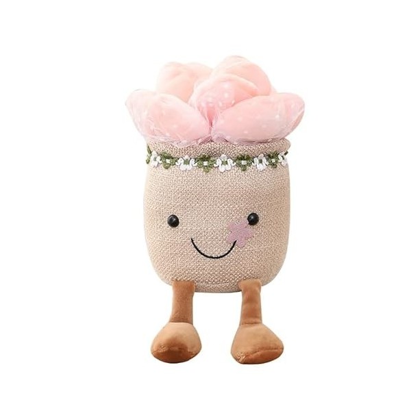 KieTeiiK Jouets en Peluche Plantes Succulentes Coussin Câlin Doux Et Moelleux Décoration Détagère Mignonne Cadeaux Noël pour