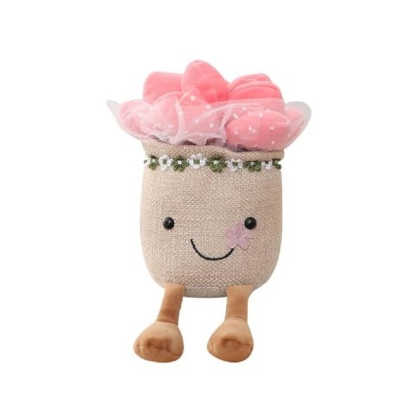 KieTeiiK Jouets en Peluche Plantes Succulentes Coussin Câlin Doux Et Moelleux Décoration Détagère Mignonne Cadeaux Noël pour