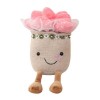 KieTeiiK Jouets en Peluche Plantes Succulentes Coussin Câlin Doux Et Moelleux Décoration Détagère Mignonne Cadeaux Noël pour