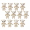 SAFIGLE Mini Oursons pour Baby Shower 12 Pièces Mini Ours en Peluche Mini Ours Commun Petits Ours en Peluche Jouets pour Bric