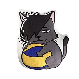Haikyuu Coussin en peluche Shoyo Hinata Tobio Kageyamab Kenma Kozume Kei Tsukishima pour les fans dAnime Cadeau pour enfants