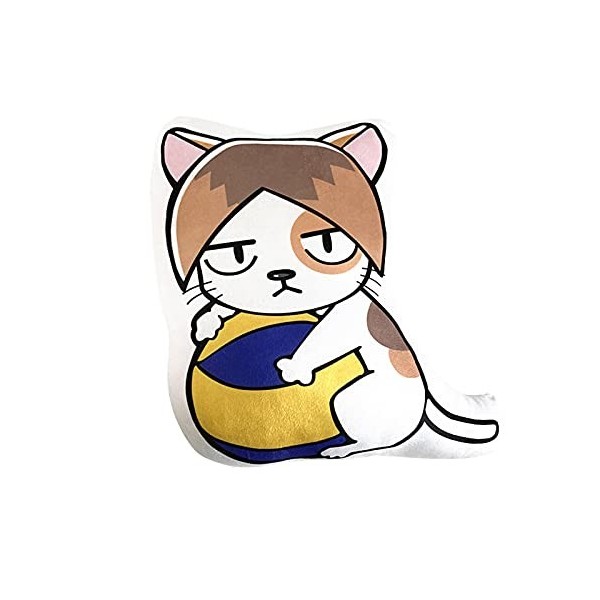 Haikyuu Coussin en peluche Shoyo Hinata Tobio Kageyamab Kenma Kozume Kei Tsukishima pour les fans dAnime Cadeau pour enfants