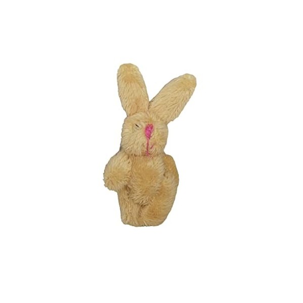 Guangcailun 10 Ensemble de Mini Lapins Mixtes Belle Poche Lapin en Peluche Bouquet Jouet Pendentif pour Porte-clés Petite pou