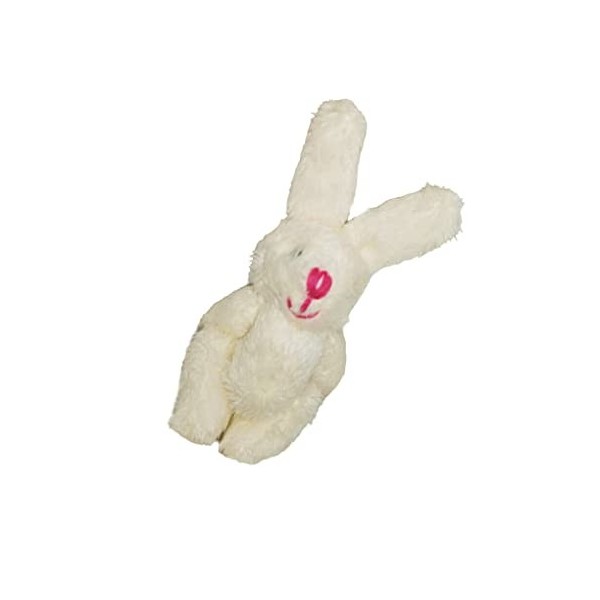 Guangcailun 10 Ensemble de Mini Lapins Mixtes Belle Poche Lapin en Peluche Bouquet Jouet Pendentif pour Porte-clés Petite pou