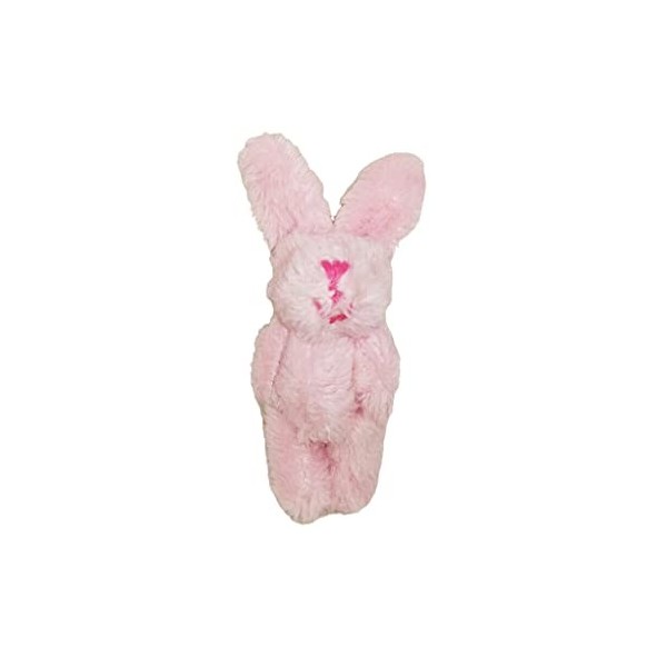 Guangcailun 10 Ensemble de Mini Lapins Mixtes Belle Poche Lapin en Peluche Bouquet Jouet Pendentif pour Porte-clés Petite pou