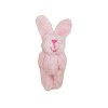 Guangcailun 10 Ensemble de Mini Lapins Mixtes Belle Poche Lapin en Peluche Bouquet Jouet Pendentif pour Porte-clés Petite pou