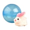 MagiDeal Balle électrique Jouets Outdoor Playset Animaux en Peluche Jouets pour garçons et Filles, Hamster Blanc