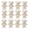 TOYANDONA 12 Pièces Mini Ours en Peluche Ours en Peluche Poupée Mini Ours en Peluche Petite Poupée en Peluche Ours Jouets da