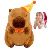 Meowleo Capybara en Peluche,Animal en Peluche Capybara, Chapeau danniversaire Capybara, Animaux en Peluche Capybara Mignons,