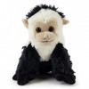 Zappi Co Peluche pour Enfants Singe capucin Jouet en Peluche 23-25 cm Collection danimaux Safari Peluche Nouveau Né Enfant