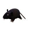 Joli jouet animal de rat en peluche, jouet en peluche interactif, poupée de souris de simulation de bande dessinée en peluche