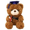 Lambo Jouet Ours Diplômé, Ours en Remise des Diplômes Cadeau Remise des Diplômes 2023 avec Chapeau pour Décor Table Etagère U