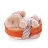 NICI- Lapin en Peluche Sleeping Pets à Caramel dans Un Panier pêche 12cm, 48708